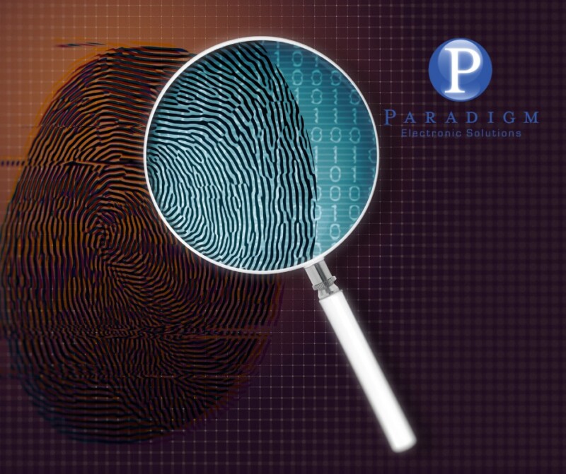 Electronic Stored Information (ESI) Paradigm eDiscovery Solutions